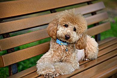 Steam最新一周销量榜 《使命召唤：黑色行动6》三连冠